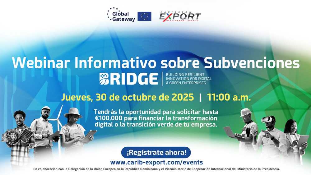 BRIDGE Webinar_SPANISH resized