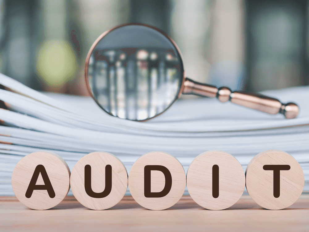 Audit-Reports