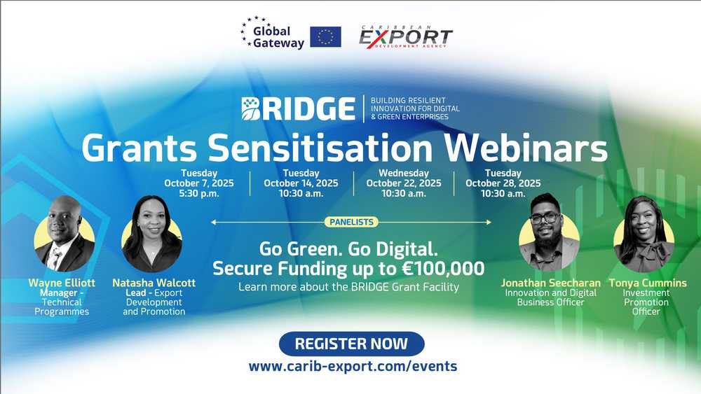 BRIDGE-Webinar-Flyer-1-scaled