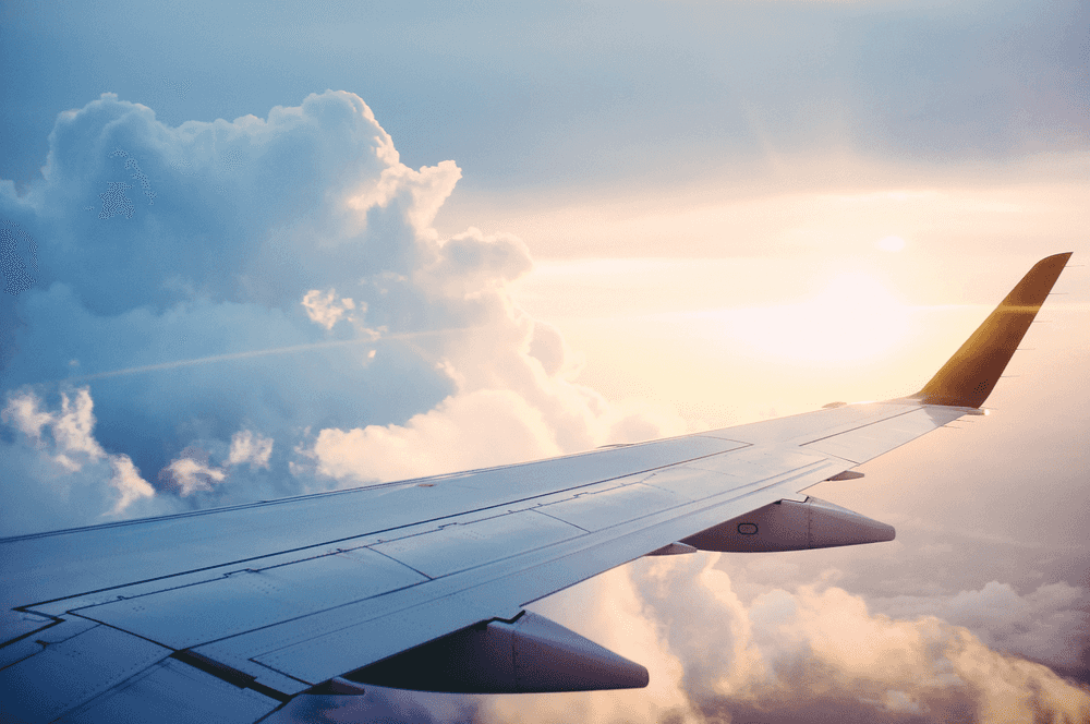 tor-travel-management-image